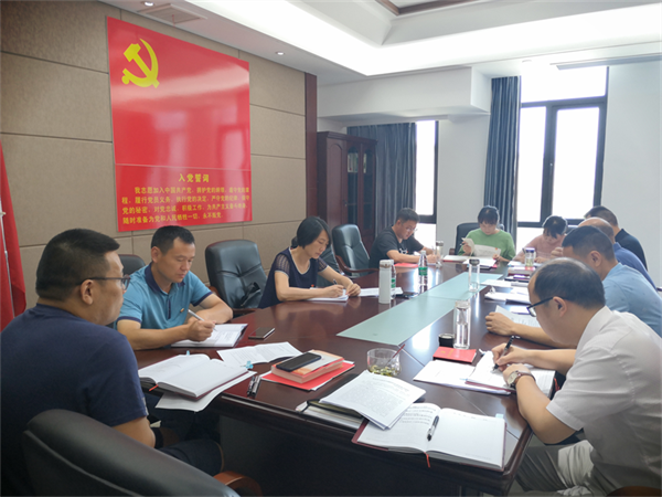 李赵琴指导漳河设计院党支部党史学习教育专题组织生活会