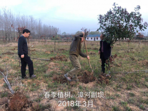 再添一抹新绿 ...义务植树活动