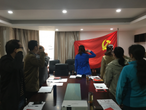 开展三月份主题党日活动